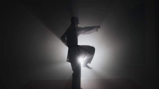 silhouette of a karate man in a dark room