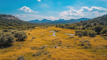 Serene Landscape of Meadow and Mountains Under a Vibrant Blue Sky