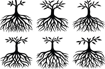 A tree with highly detailed twisted roots in line art on a solid white background.