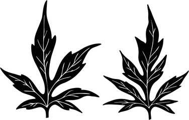 Sketch of a leaves of a plant with white veins. Stylized black leaves graphic design for designing poster, banner or sticker.