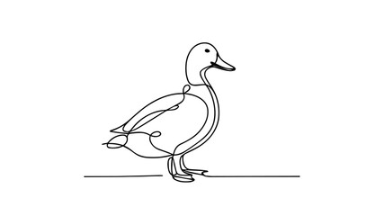 minimalist continuous one line drawing illustration of a realistic duck 