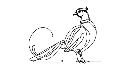 minimalist continuous one line drawing illustration of a realistic Ring-necked Pheasant