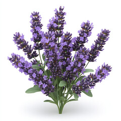 Obraz premium A Vibrant Bouquet Of Lavender, Bursting With Purple Blooms And Tranquil Fragrance, A Symbol Of Serenity And Calm Against A Stark Isolated on Transparent Background