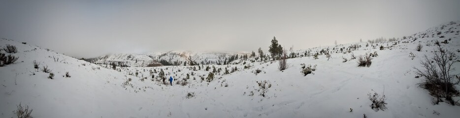 snow covered mountains