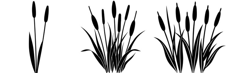 Cattail Silhouette Vector Art