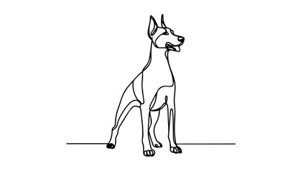 minimalist continuous one line drawing illustration of a realistic standing full body doberman