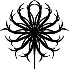 black and white abstract flower