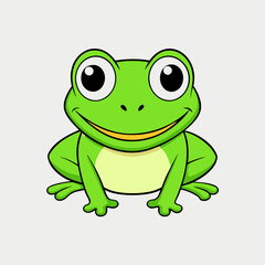 frog on white background