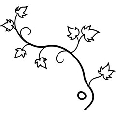 vector illustration of a floral background