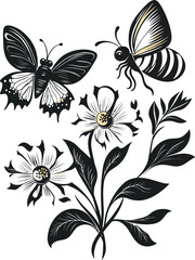 black and white butterfly