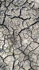 Dry cracked earth texture showing severe drought conditions in tupadly, czech republic. In april