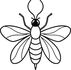 Firefly with glowing light silhouette