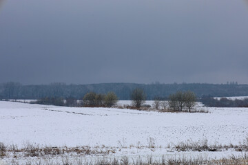 A winter landscape depicts a snow-covered field under a gloomy gray sky. A white blanket of snow evenly covers the ground, creating a sense of peace and boundlessness.