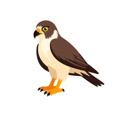 Fototapeta premium Falcon illustration in colorful style against a white background 