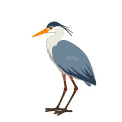 Obraz premium Heron standing gracefully on a white background 