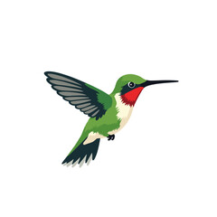 Colorful hummingbird flying in a minimalist style  