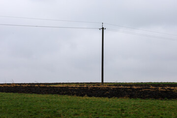 A solitary wooden utility pole stands tall in the center of the frame, with thin wires stretching...