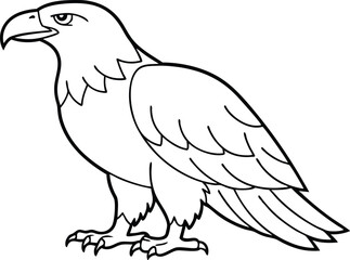 eagle bird coloring book page, eagle line art vector