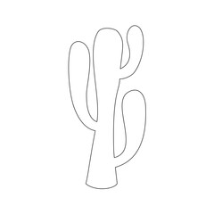 cactus illustration