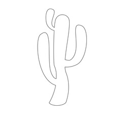cactus illustration