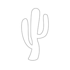 cactus illustration