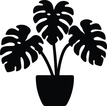 recommend clip art: Monstera deliciosa plant in pot silhouette vector,Monstera deliciosa plant vector