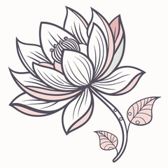 lotus illustration vector