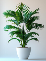 Obraz premium palm Decorate the house
