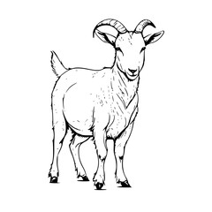 Obraz premium goat cartoon isolated on white