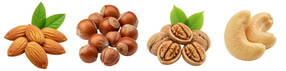 Fototapeta premium Almonds, hazelnuts, walnuts and cashews.