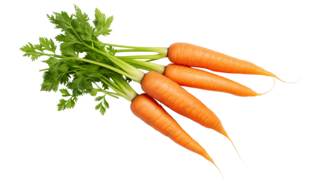 A bunch of fresh carrots with green tops lying on a  in a studio shot close up view on transparent background png