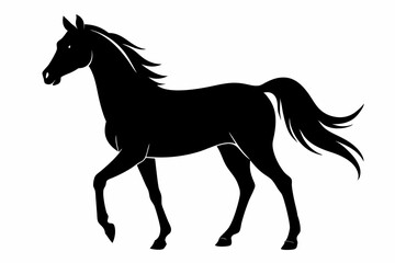 arabian horse sihouette black vector