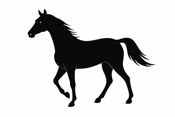 arabian horse sihouette black vector