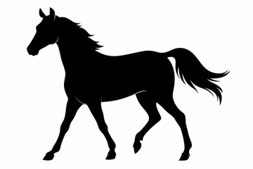 arabian horse sihouette black vector
