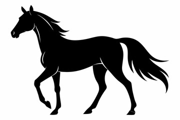 arabian horse sihouette black vector