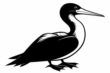 gannet sihouette black vector