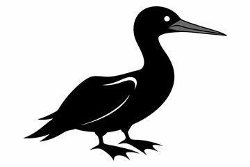 Fototapeta premium gannet sihouette black vector