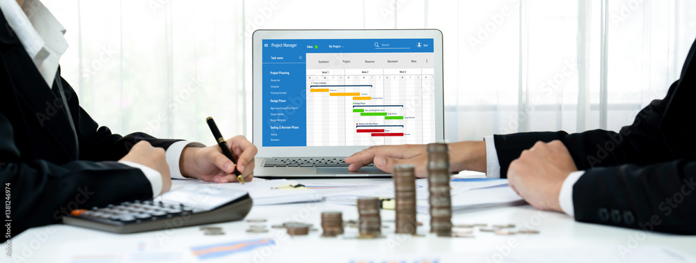 Poster project planning software for brisk business project management on the computer screen showing timel