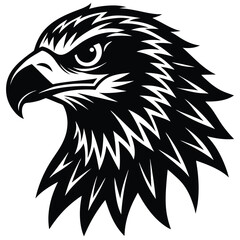 eagle head vector illustration