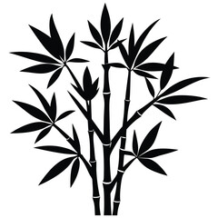 Bamboo plant silhouette
