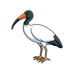  Beautifully Illustrated Sacred Ibis Bird