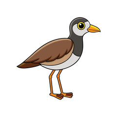 Obraz premium Vibrant Wattled Lapwing Bird Detailed Illustration