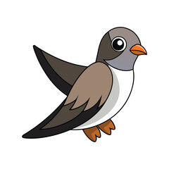  Dynamic Alpine Swift Bird Illustration