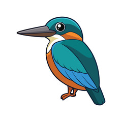  Stunning Amazon Kingfisher Bird Design
