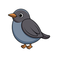  Vivid American Dipper Bird Design