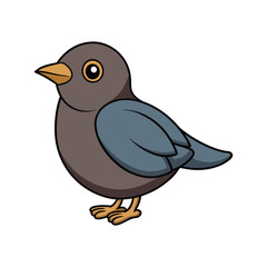  Charming American Dipper Bird Artwork