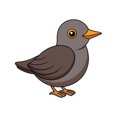  Realistic American Dipper Bird Illustration
