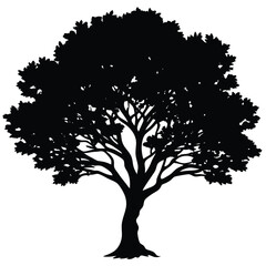 Creosote bush tree silhouette
