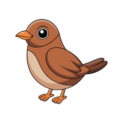  Charming American Pipit Bird Illustration