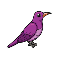  Detailed Amethyst Sunbird Depiction